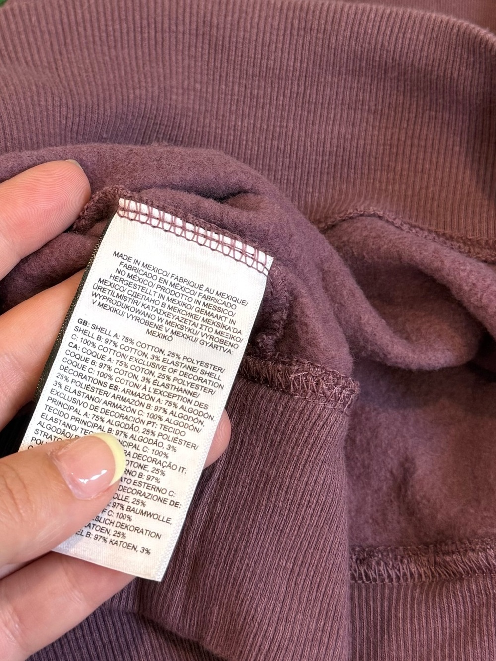 The North Face Crown Shyness Cotton Greenhouse Plant Hoodie in Midnight Mauve - Picture 5 of 6